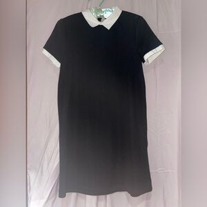 Zara Black Dress with White Collar